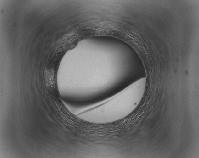 X0000087670963200705040721