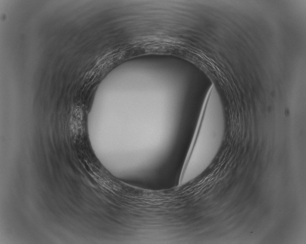 X0000087670964200705040721