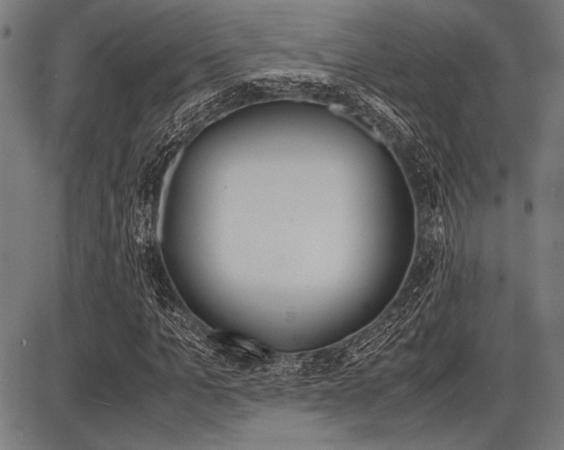 X0000087670965200705040721