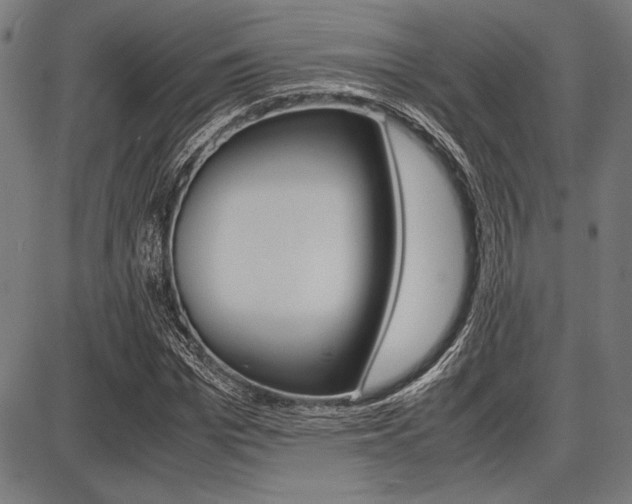 X0000087670969200705040721