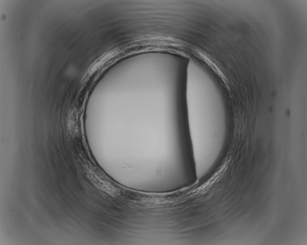 X0000087670970200705040721