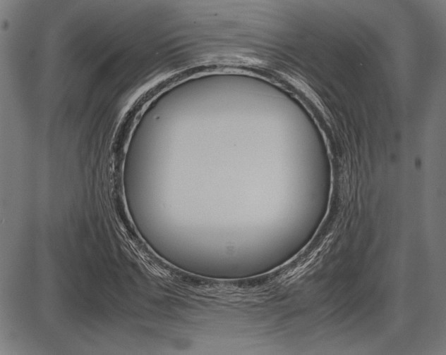 X0000087670971200705040721