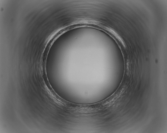 X0000087670972200705040721