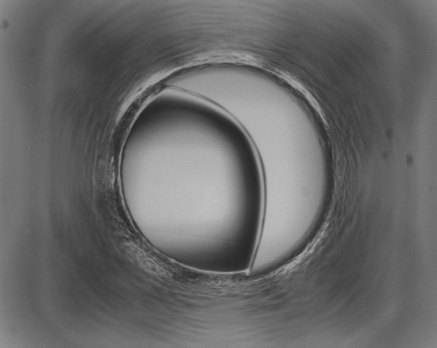 X0000087670973200705040721