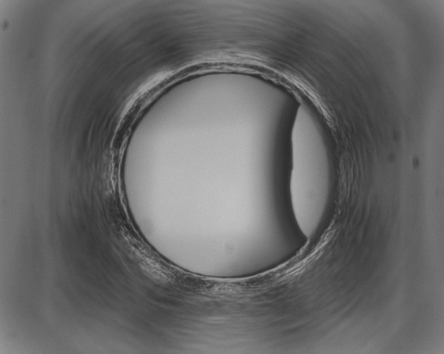 X0000087670974200705040721