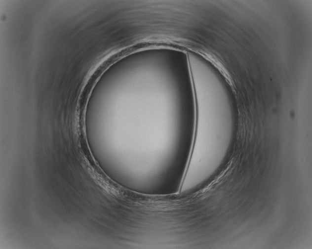 X0000087670976200705040721