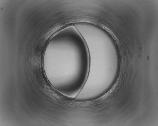 X0000087670977200705040721