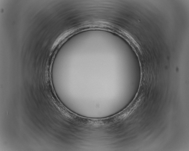 X0000087670978200705040721