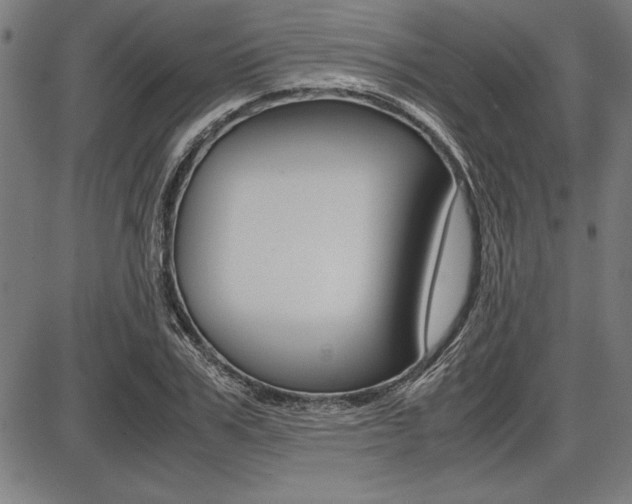 X0000087670979200705040721