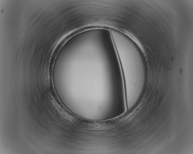 X0000087670980200705040721
