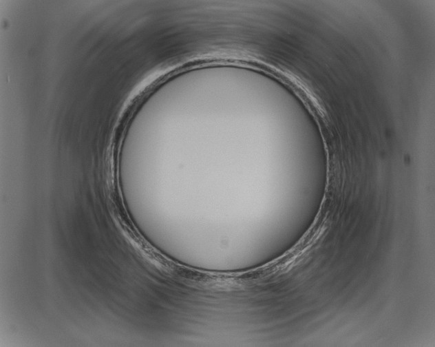 X0000087670982200705040721