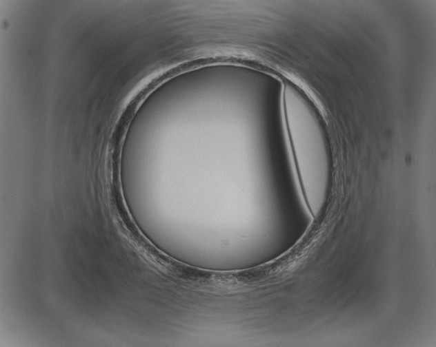 X0000087670983200705040721
