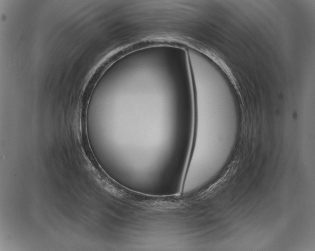X0000087670984200705040721