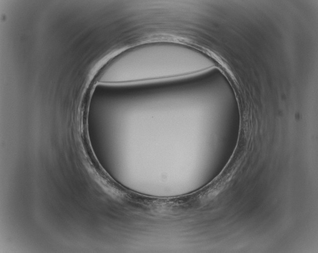 X0000087670987200705040721