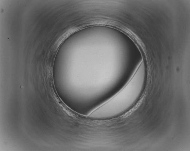 X0000087670993200705040721