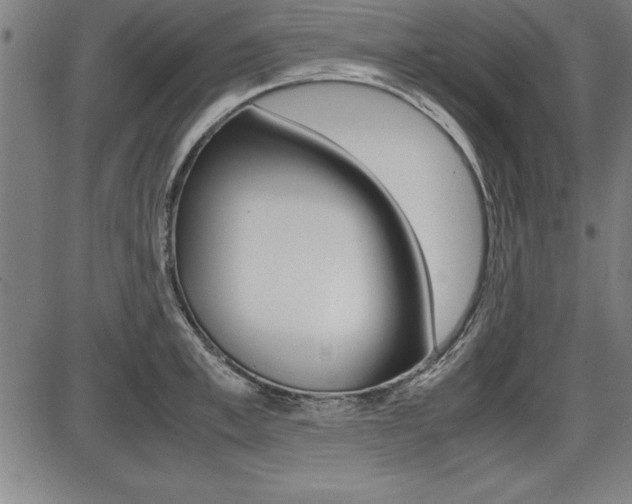 X0000087670997200705040721