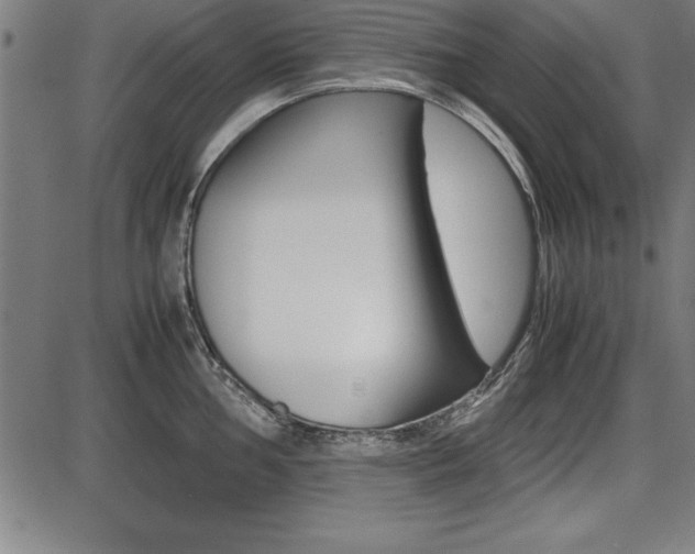 X0000087671002200705040721