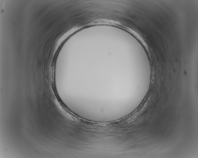 X0000087671003200705040721