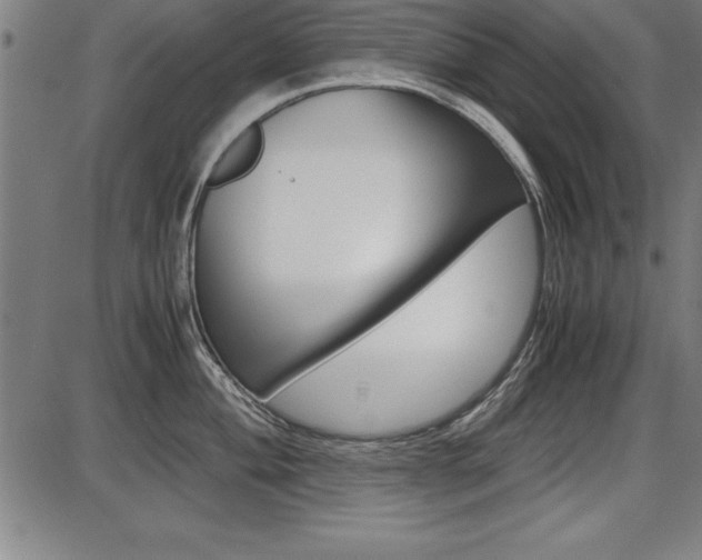 X0000087671004200705040721