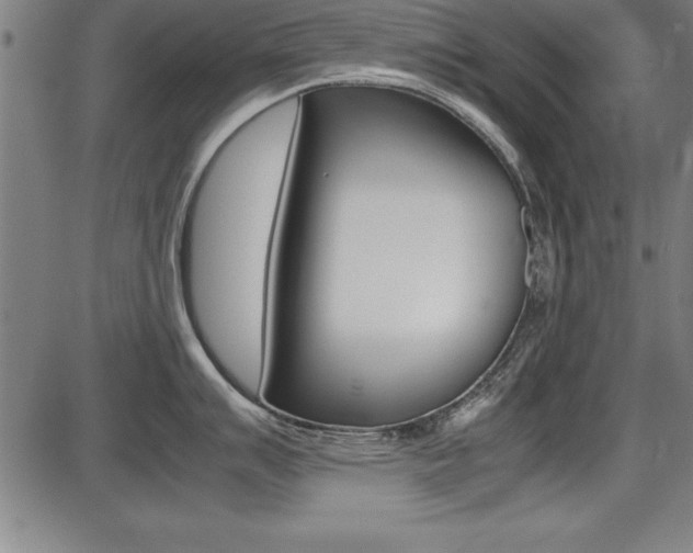 X0000087671007200705040721