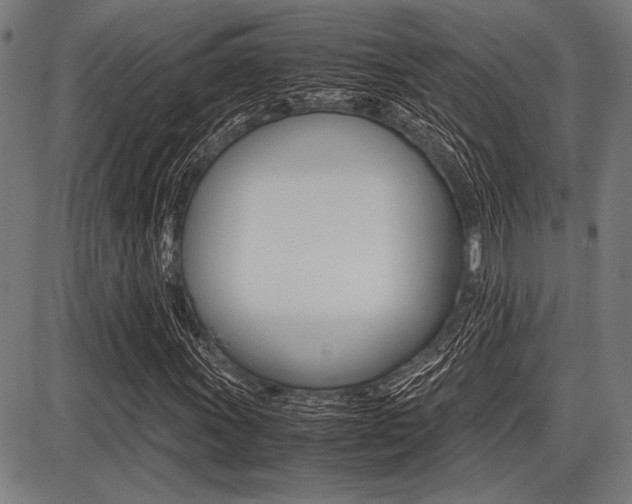 X0000087671011200705040720