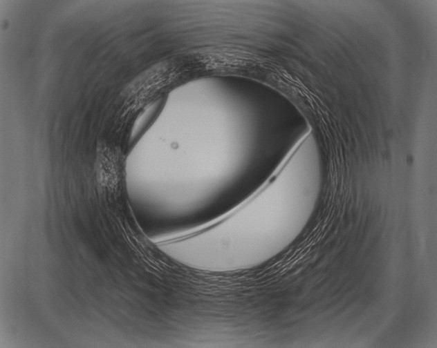 X0000087671012200705040720