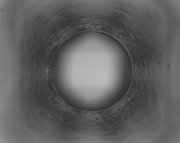 X0000087671013200705040720