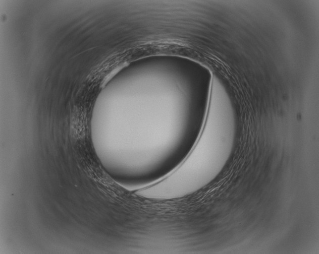 X0000087671014200705040720