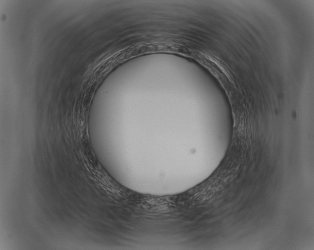 X0000087671015200705040720