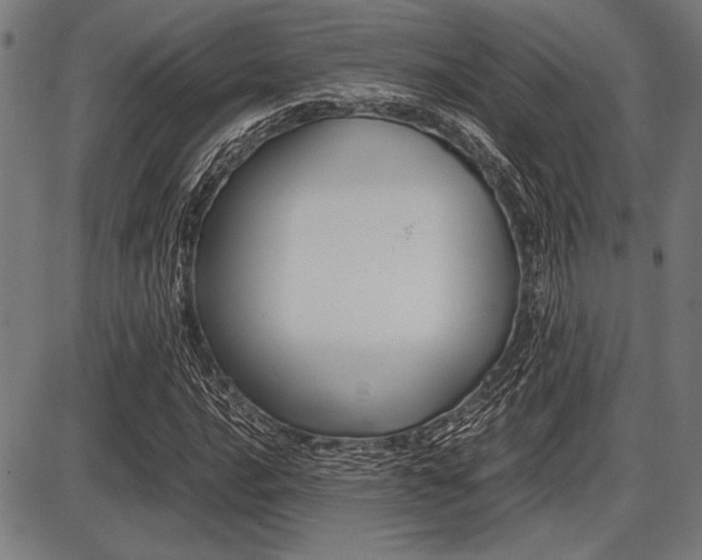 X0000087671016200705040720