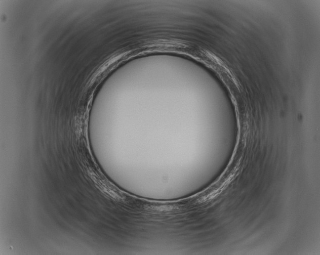 X0000087671017200705040720