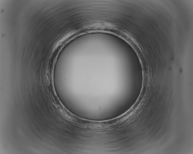 X0000087671018200705040720