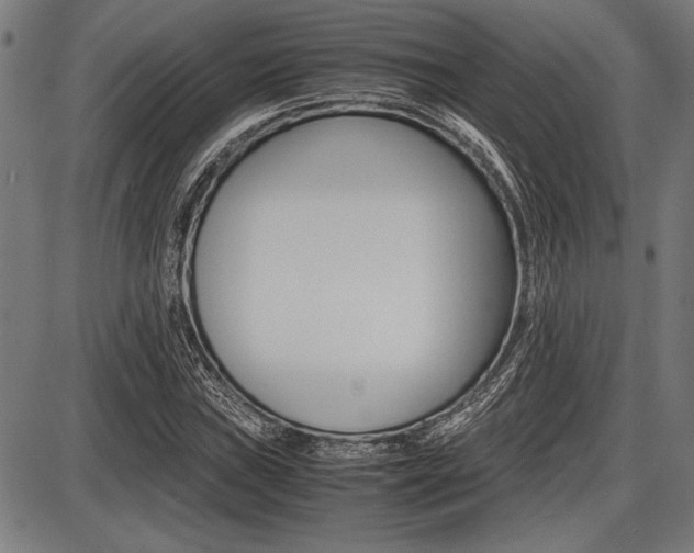 X0000087671019200705040720