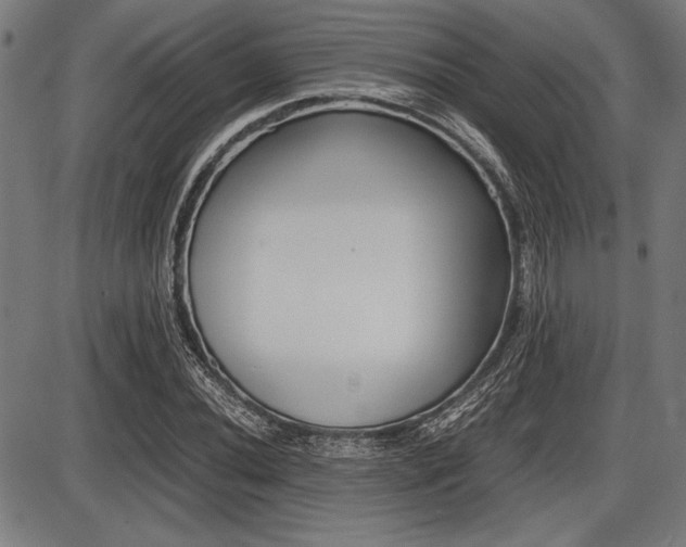 X0000087671020200705040720