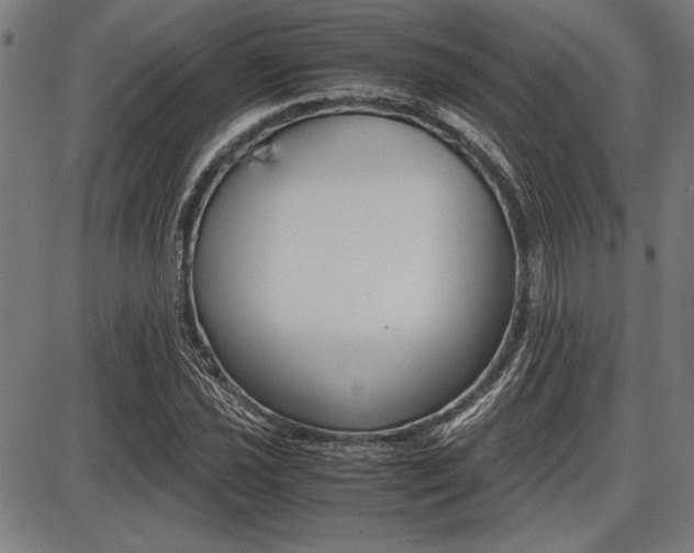 X0000087671021200705040720