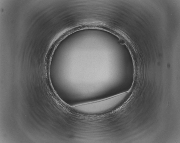 X0000087671022200705040720