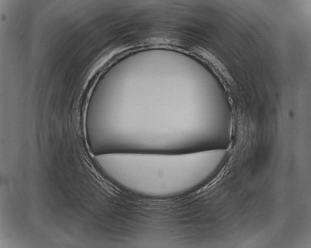 X0000087671023200705040720