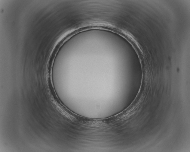 X0000087671024200705040720