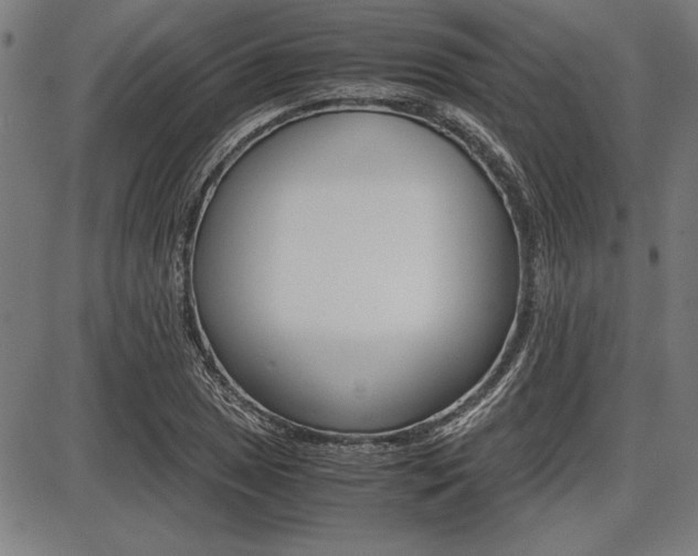 X0000087671025200705040720
