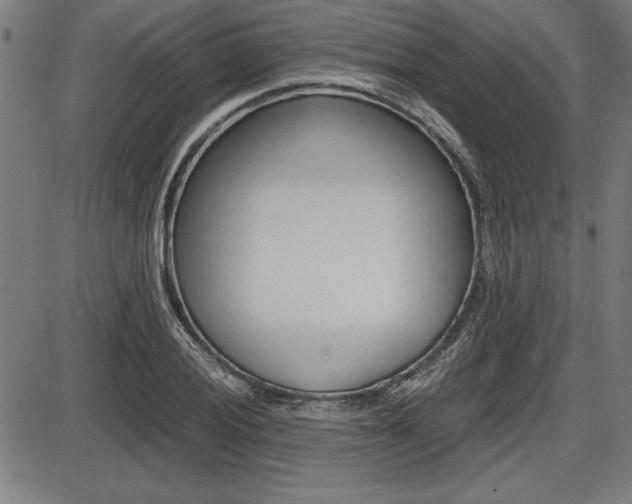 X0000087671028200705040720