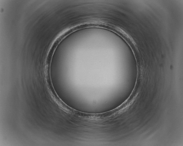 X0000087671029200705040720