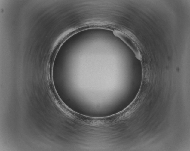 X0000087671030200705040720