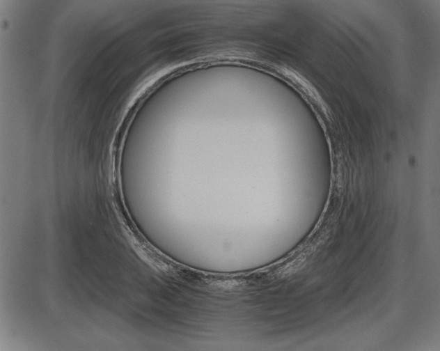 X0000087671031200705040720