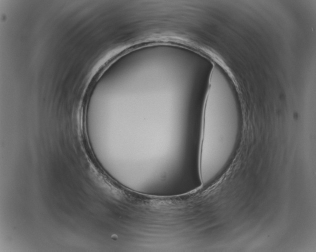 X0000087671032200705040720