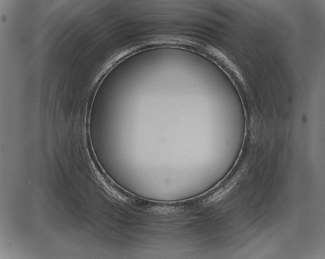 X0000087671033200705040720