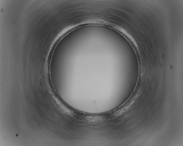 X0000087671037200705040720
