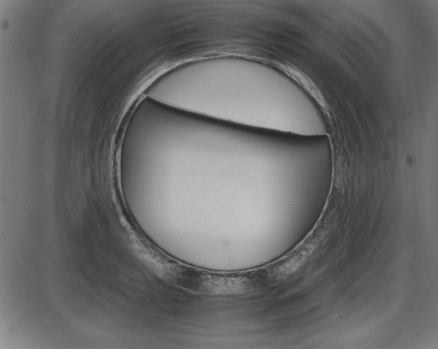 X0000087671039200705040720