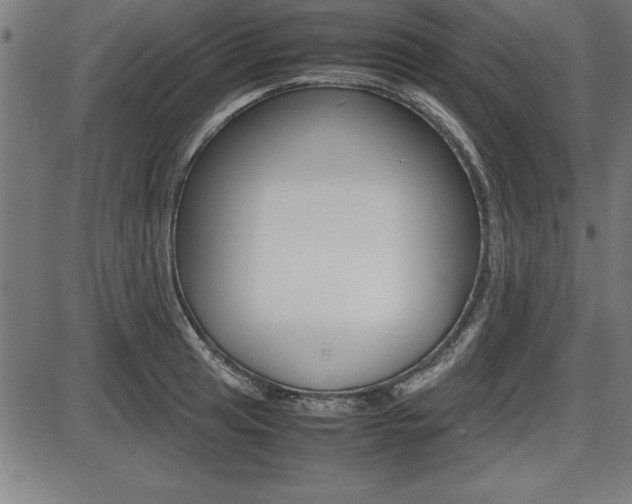 X0000087671041200705040720