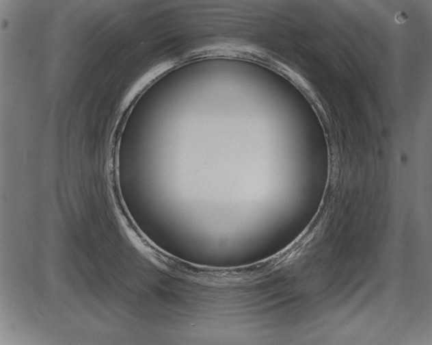 X0000087671042200705040720