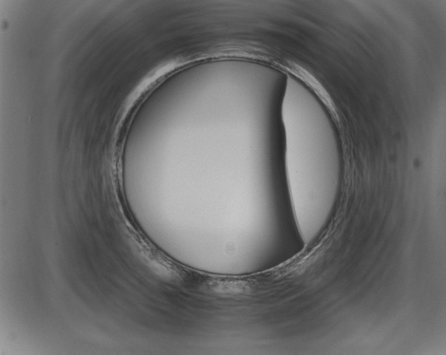 X0000087671043200705040720